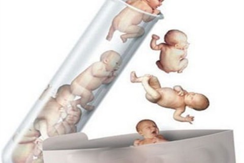 http://chongqing.dacou.net/post/194.html|重庆新闻中心